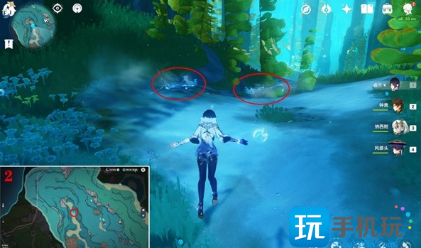 原神鳗鱼宝箱位置大全 10个鳗鱼宝箱全收集攻略