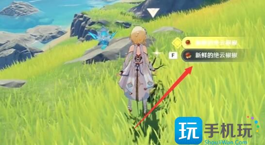 《原神》叶间泪任务完成攻略 《原神》叶间泪任务完成攻略