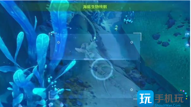原神水下沉落物在哪 水下沉落物位置分享