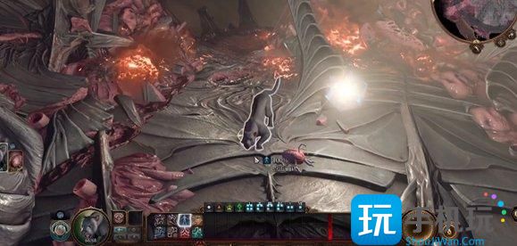 《博德之门3》德鲁伊能变成什么动物 德鲁伊可变形态介绍