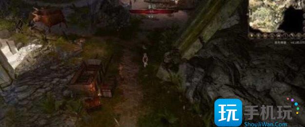 《博德之门3》德鲁伊神像怎么偷 偷德鲁伊神像方法攻略