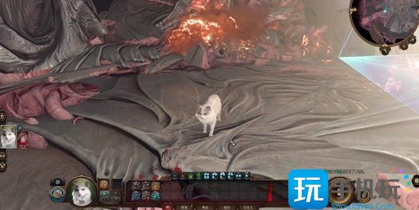 《博德之门3》德鲁伊能变成什么动物 德鲁伊可变形态介绍