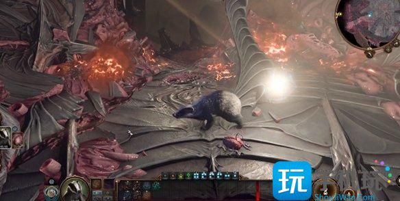 《博德之门3》德鲁伊能变成什么动物 德鲁伊可变形态介绍