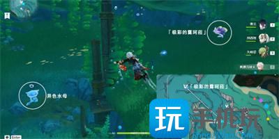 原神极彩的露珂菈怎么打 极彩的露珂菈通关打法攻略