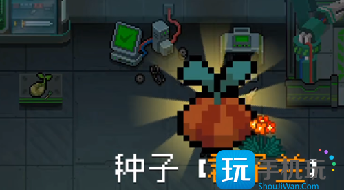 元气骑士迷迭岛君子兰获取攻略 元气骑士迷迭岛君子兰获取攻略