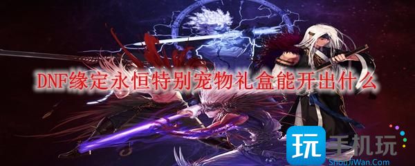 DNF缘定永恒特别宠物礼盒能开出什么