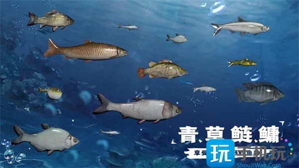 天天钓鱼水族馆收入攻略 水族馆鱼收入计算方法