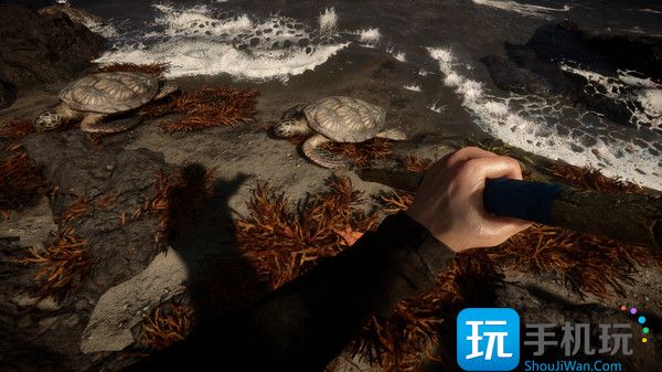 森林之子火堆怎么做