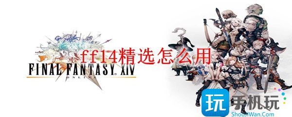 ff14精选怎么用