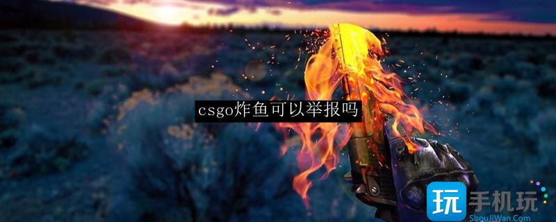 csgo炸鱼可以举报吗