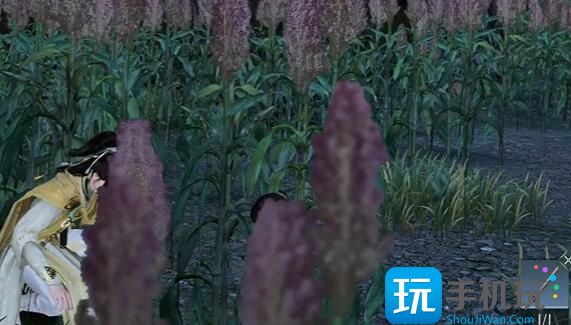 逆水寒手游羌笛不须怨奇遇攻略 羌笛不须怨奇遇任务触发流程