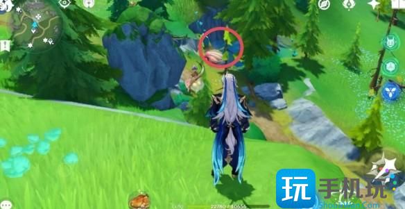 《原神》4.26个幽林枝分布位置一览 《原神》4.26个幽林枝分布位置一览