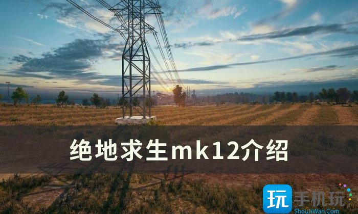 《绝地求生》mk12好用么 mk12介绍