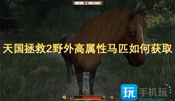 天国拯救2野外高属性马匹如何获取
