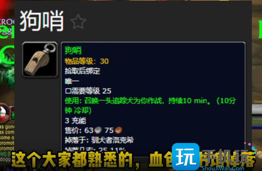 探索赛季P1阶段DPS黑科技盘点 大幅提升WCL评分 探索赛季P1阶段DPS黑科技盘点 大幅提升WCL评分