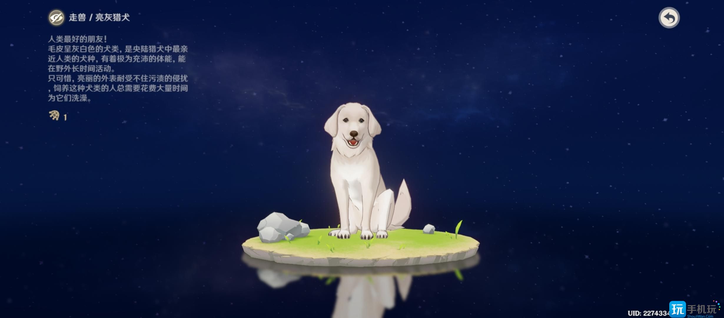 原神亮灰猎犬在哪 原神亮灰猎犬在哪