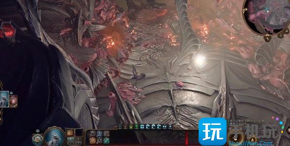 《博德之门3》德鲁伊能变成什么动物 德鲁伊可变形态介绍