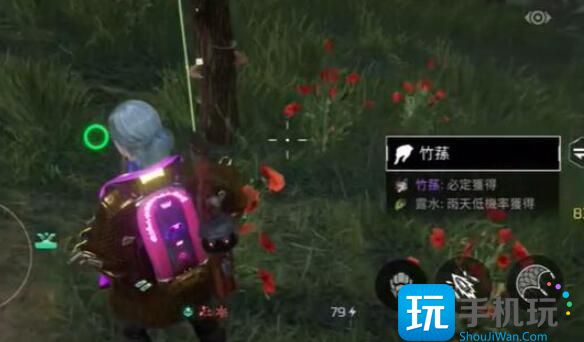 《星球重启》竹荪烤串制作方法介绍 《星球重启》竹荪烤串制作方法介绍