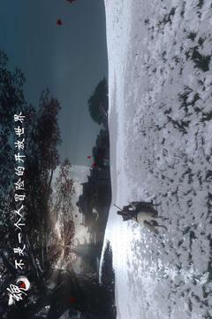 魂之追梦(图5)