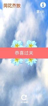 同花齐放(图2)