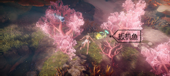 《天谕手游》鱼类图鉴大全 珊瑚海鱼类介绍