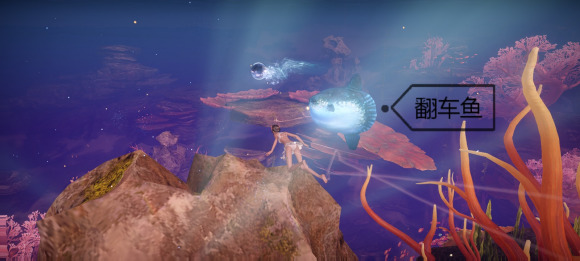 《天谕手游》鱼类图鉴大全 珊瑚海鱼类介绍