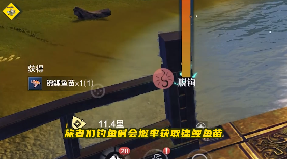 《妄想山海》锦鲤活动怎么玩 锦鲤活动玩法介绍