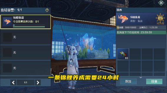 《妄想山海》锦鲤活动怎么玩 锦鲤活动玩法介绍