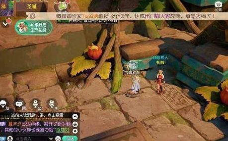 梦想新大陆守株待兔任务攻略