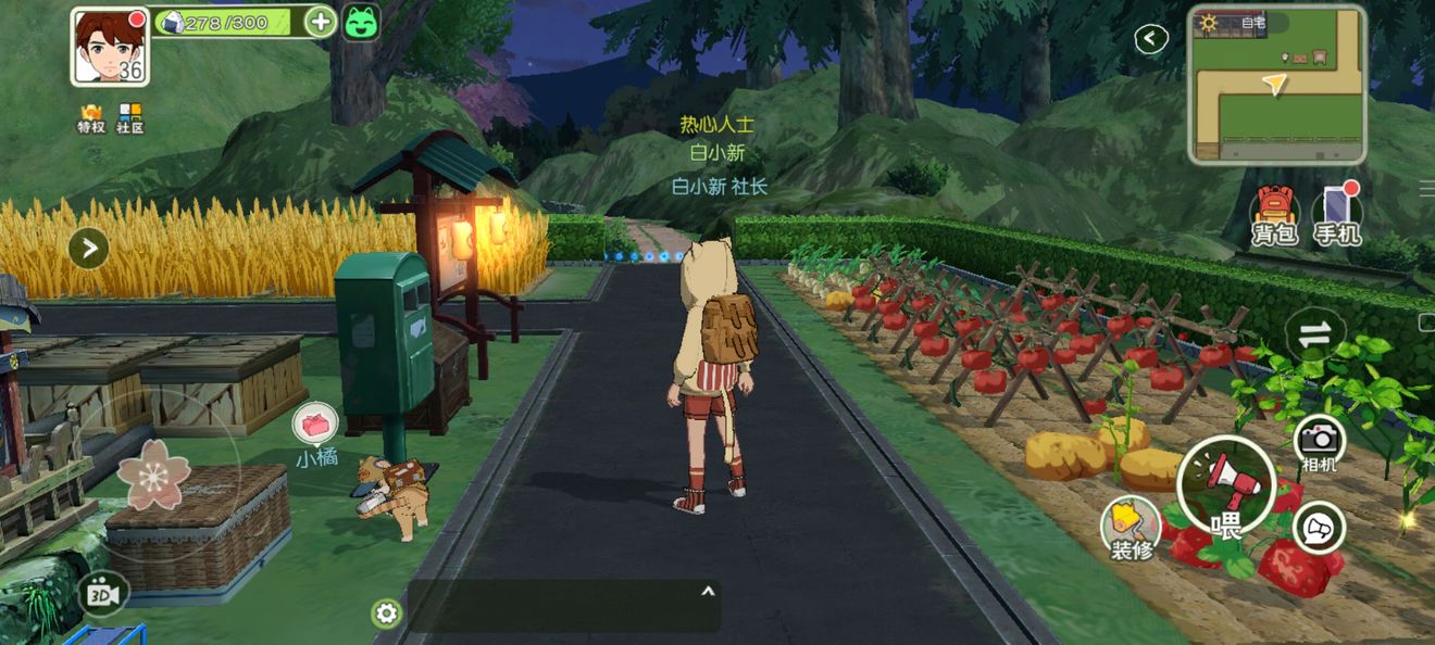 《小森生活》新手家园怎么布置 新手家园布置方法