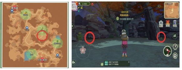 小森生活稀有昆虫获取位置_http://www.abetid.com_游戏攻略_第4张