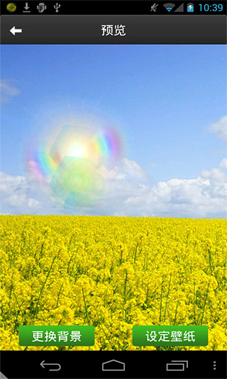 金黄遍野动态壁纸v1.0(图1)