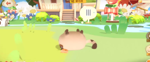 猫咪公寓2天赋撸猫作用-撸猫提升亲密度方法