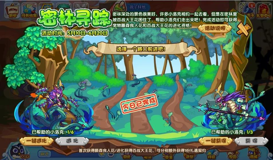 洛克王国密林寻踪活动怎么玩-密林寻踪活动攻略