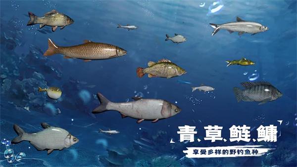 天天钓鱼水族馆收入攻略-水族馆鱼收入怎么算