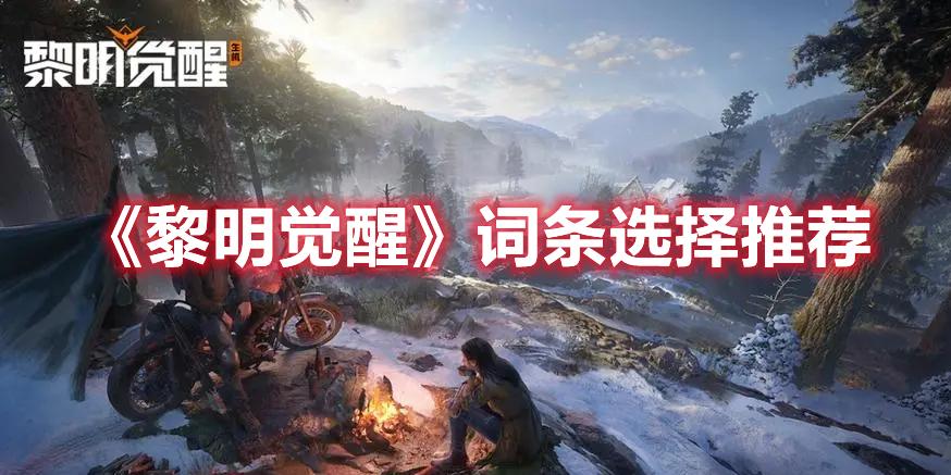 黎明觉醒词条怎么选-词条推荐