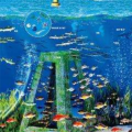 海洋牧场app