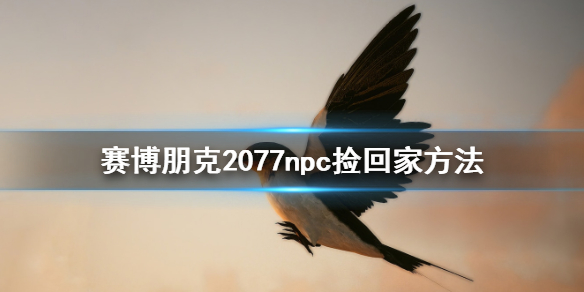 赛博朋克2077NPC捡取方法_http://www.satyw.com_游戏攻略_第1张