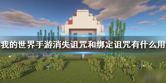 我的世界消失诅咒和绑定诅咒介绍