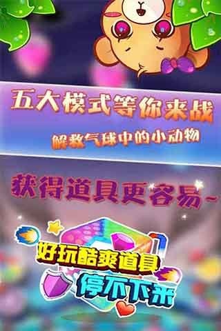 小熊笨笨(图2)