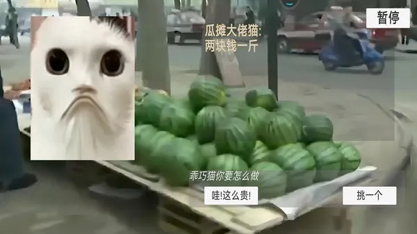 猫meme搞怪冒险(图1)