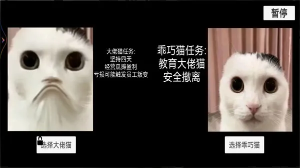 猫猫惊魂夜(图3)