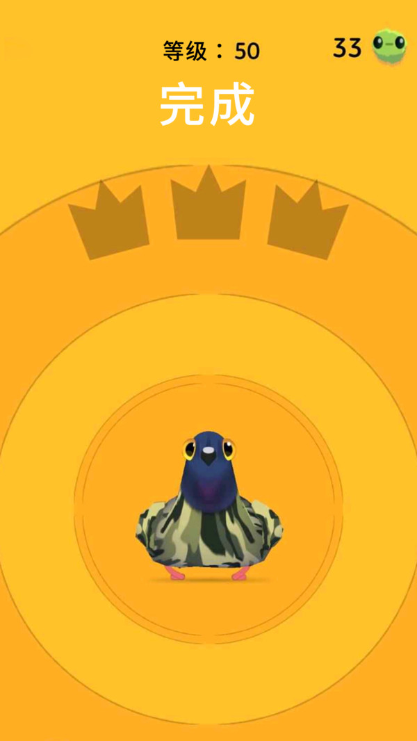 疯狂的鸽子(图4)