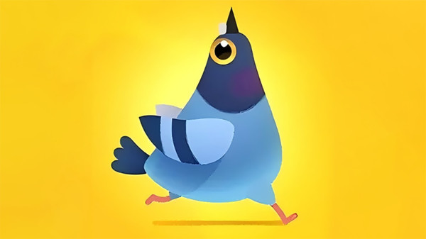 疯狂的鸽子(图1)