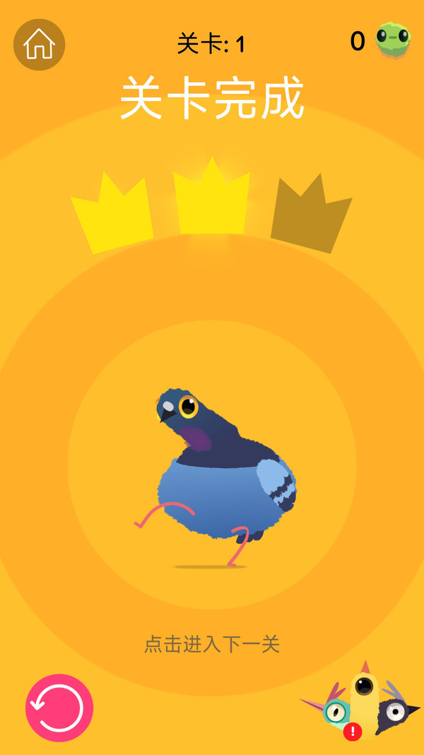 疯狂的鸽子(图5)