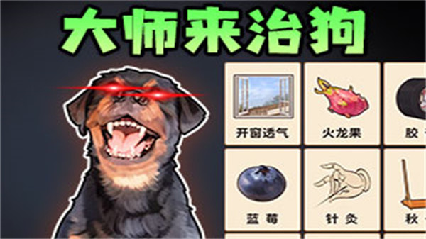 疯狂的小狗(图1)