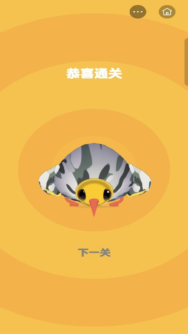 逆袭菜鸟营(图2)