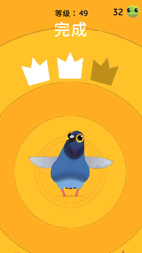 疯狂的鸽子(图2)