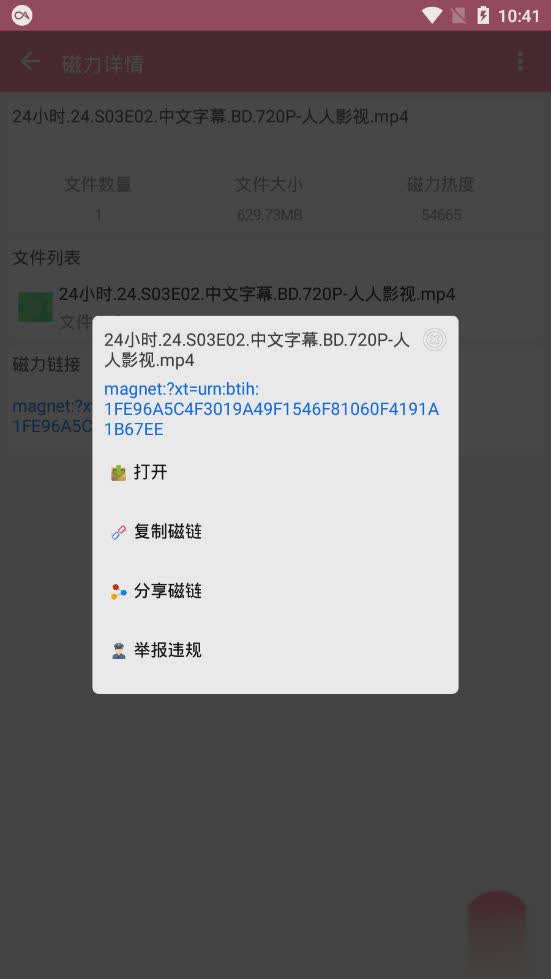 磁力搜app(图4)