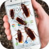 蟲子電話的笑話app